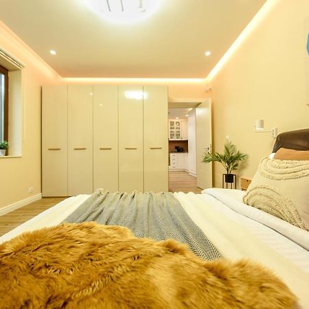 Green Leafy Brasov - Ideal 2 Bedroom Apartment Kültér fotó