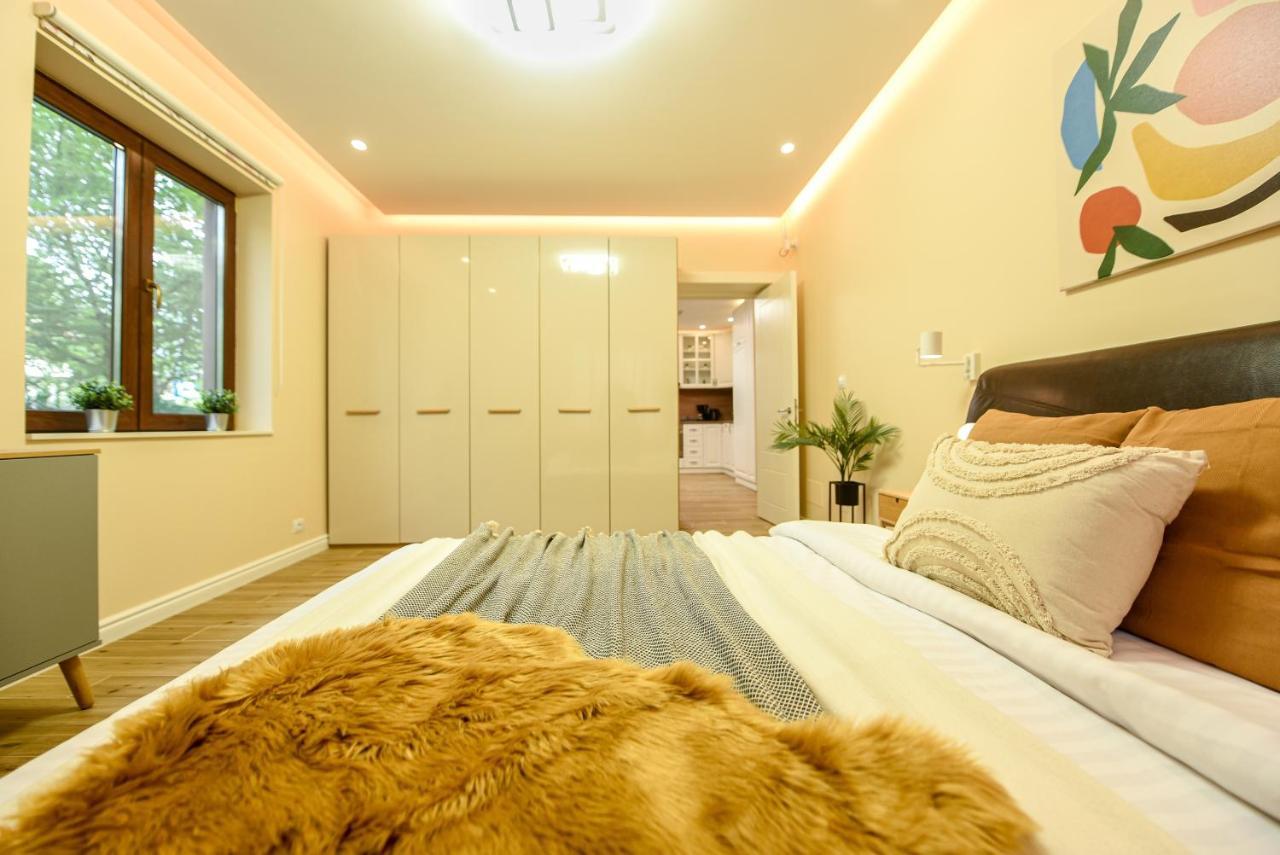 Green Leafy Brasov - Ideal 2 Bedroom Apartment Kültér fotó