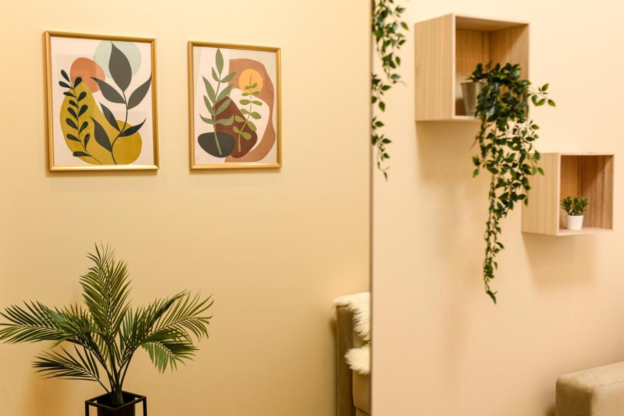 Green Leafy Brasov - Ideal 2 Bedroom Apartment Kültér fotó