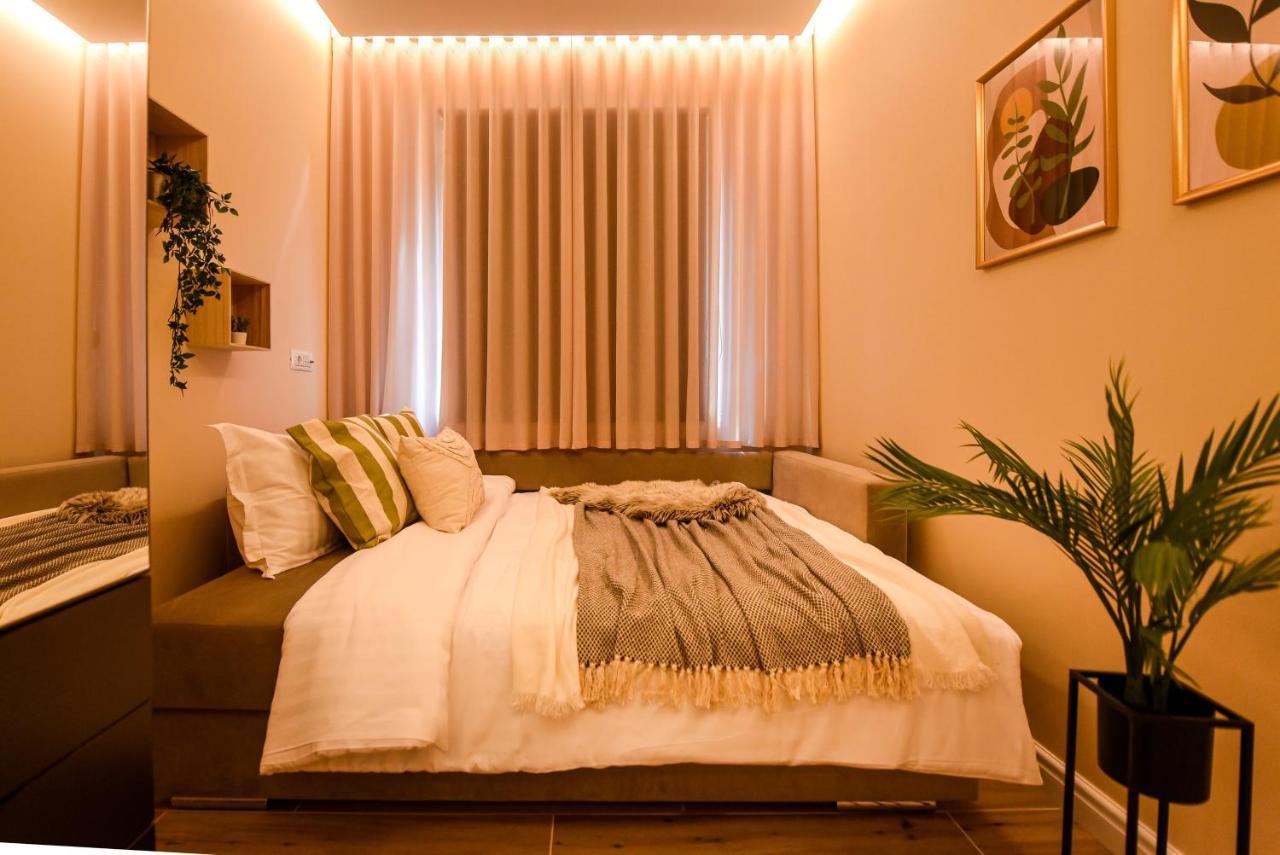Green Leafy Brasov - Ideal 2 Bedroom Apartment Kültér fotó